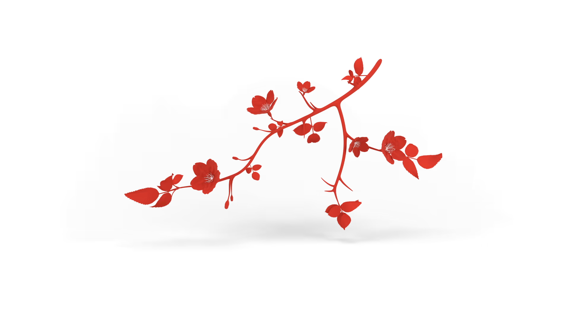 Modélisation 3D branche d’églantine