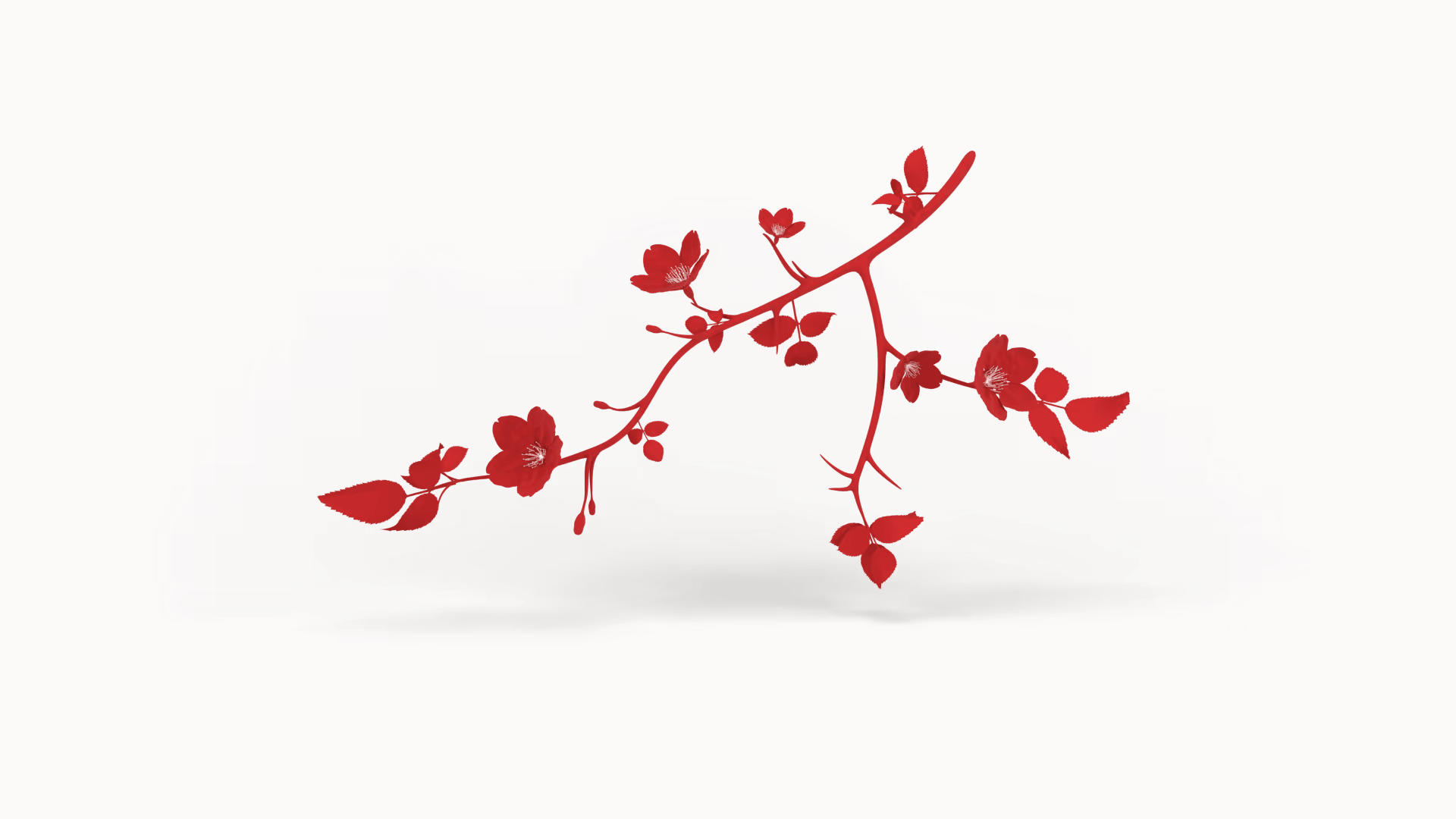 Le saule et l’églantine